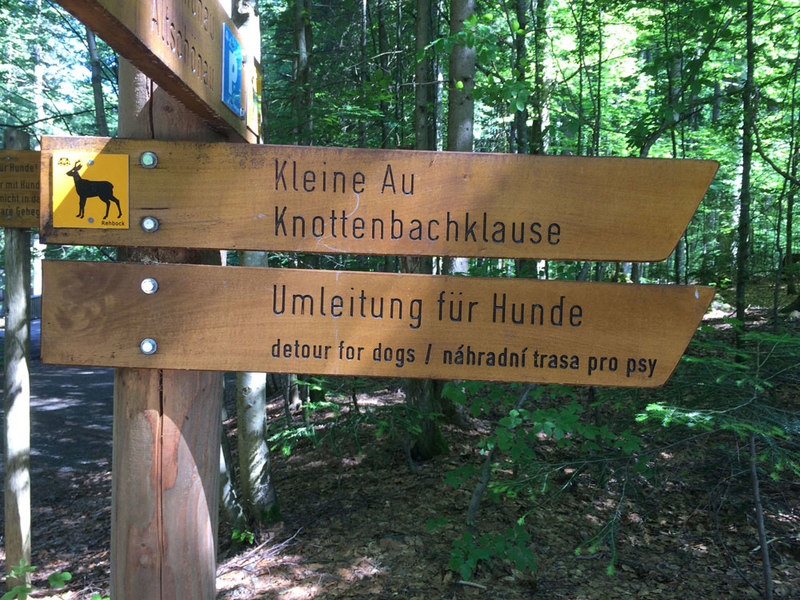 Wenn die Wege direkt durch Tiergehege führen, sind im Nationalpark Bayerischer Wald,  Alternativrouten für Hundebesitzer gut ausgeschildert.