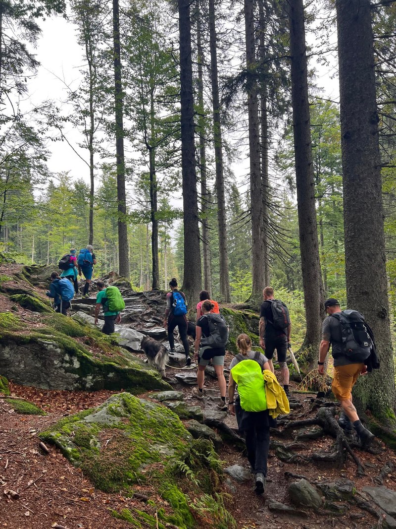 Die Wandergruppe auf dem Weg bergauf