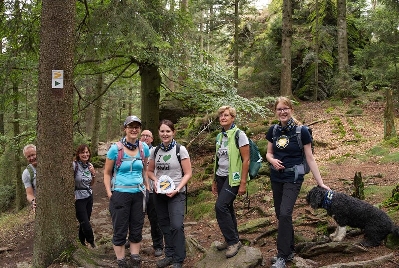 Mitarbeiter des Landratsamtes Cham und des Naturparks Oberer Bayerischer Wald  auf ihrer gemeinsamen Goldsteig-Staffelwanderung auf der Etappe N12 zum Kaitersberg