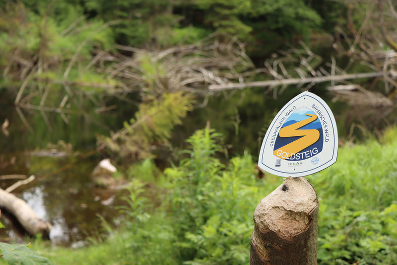 Das Goldsteig Adventure-Schild auf der Etappe N13 im Nationalpark