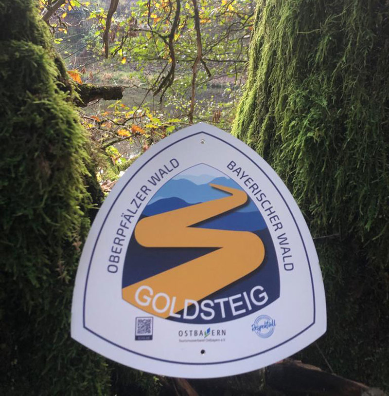 Auf der Goldsteig-Etappe S8 erlebt ihr eine Vielzahl an Naturhighlights