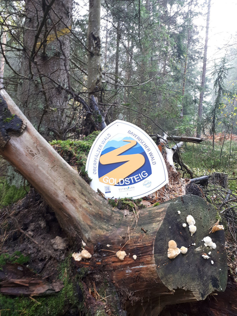 Unser Goldsteig-Adventure-Sign im Bodenwöhrer Forst