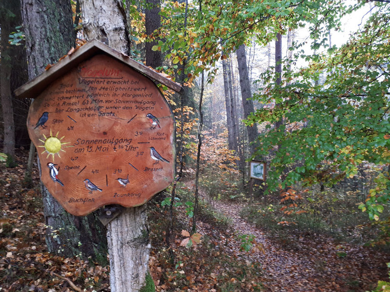 Unterwegs am Waldlehrpfad Postlohe auf der Goldsteig-Etappe S9: Furth im Wald - Schönbuchen