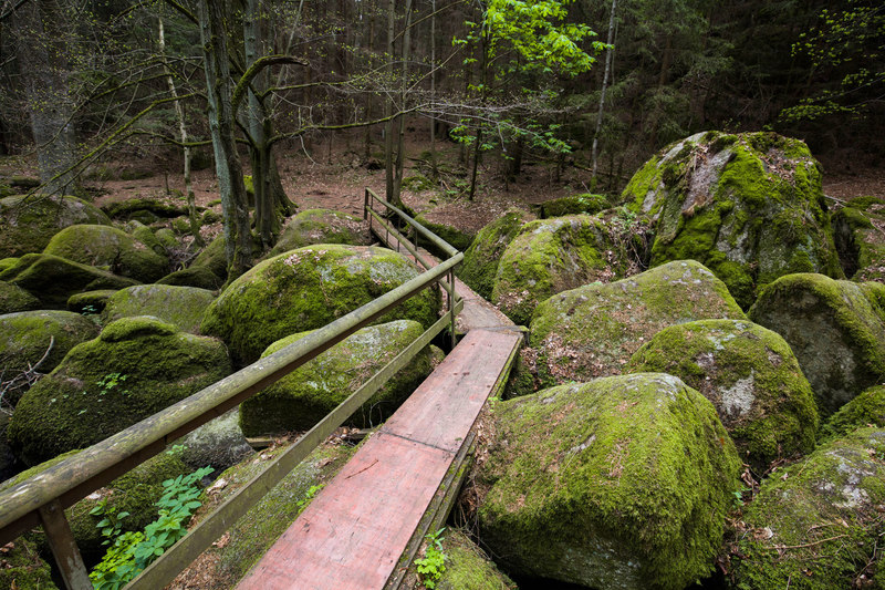Der Zuweg Goldsteig - Nr. 5A führt durch das älteste Naturschutzgebiet der Oberpfalz.