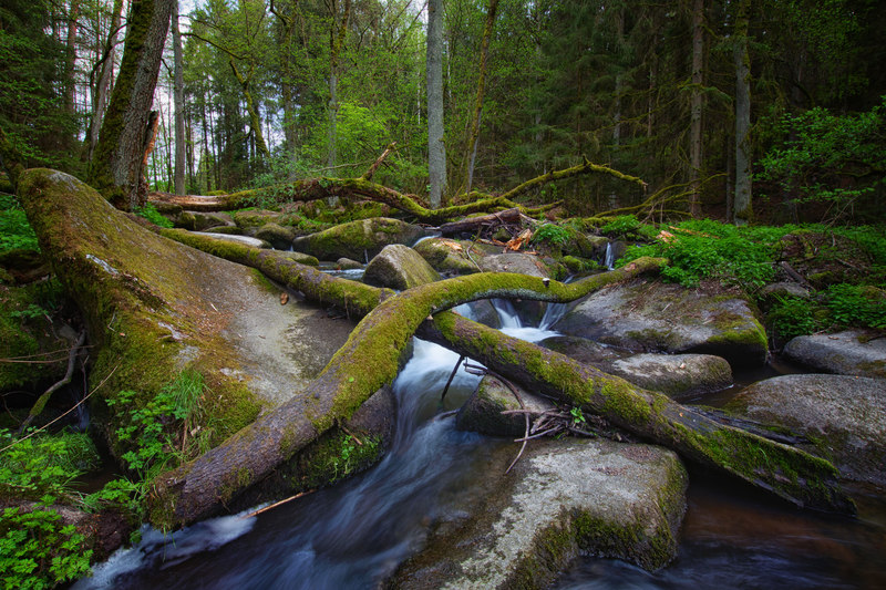 Die mystischen Granit-Flusslandschaften im Naturschutzgebiet Lerautal befinden sich auf der Goldsteig-Etappe 5.