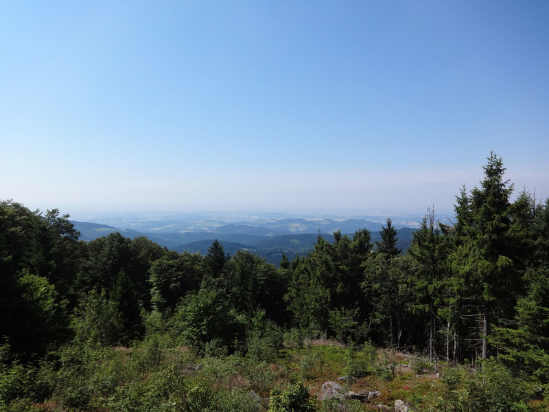 Ausblick über den Bayerischen Wald vom Knogl