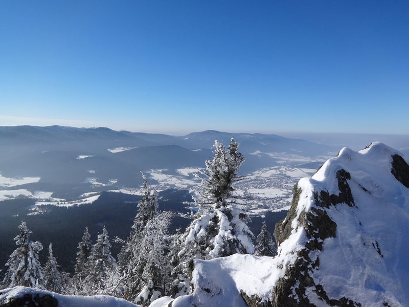Ausblick von der Osserwiese über den Winterwald