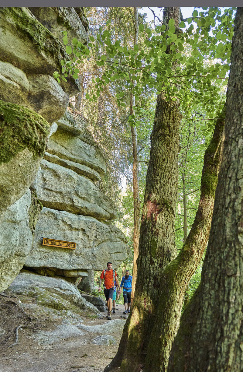 Das Naturschutzgebiet Waldnaabtal ist sagenhaft und wildromantisch. Malerische Felsengebilde und 30 bis 50 m hohe Granitmassen säumen das Flussbett der Waldnaab.